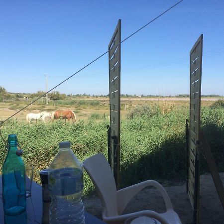 En Camargue Lägenhet Salin-de-Giraud Exteriör bild