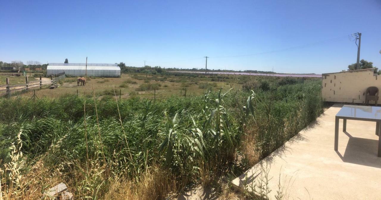 En Camargue Lägenhet Salin-de-Giraud Exteriör bild